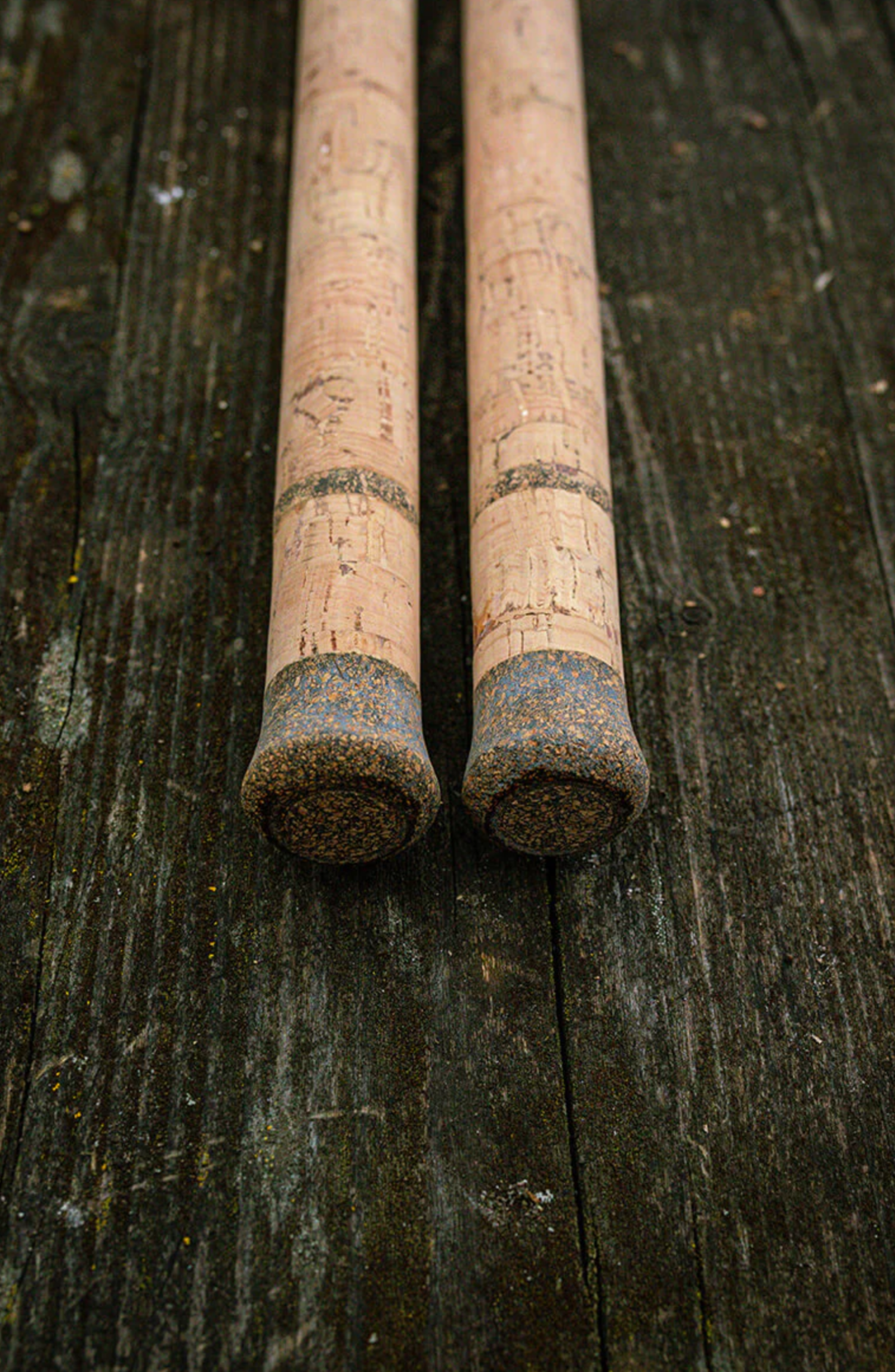 Forge Razer Carp Rod